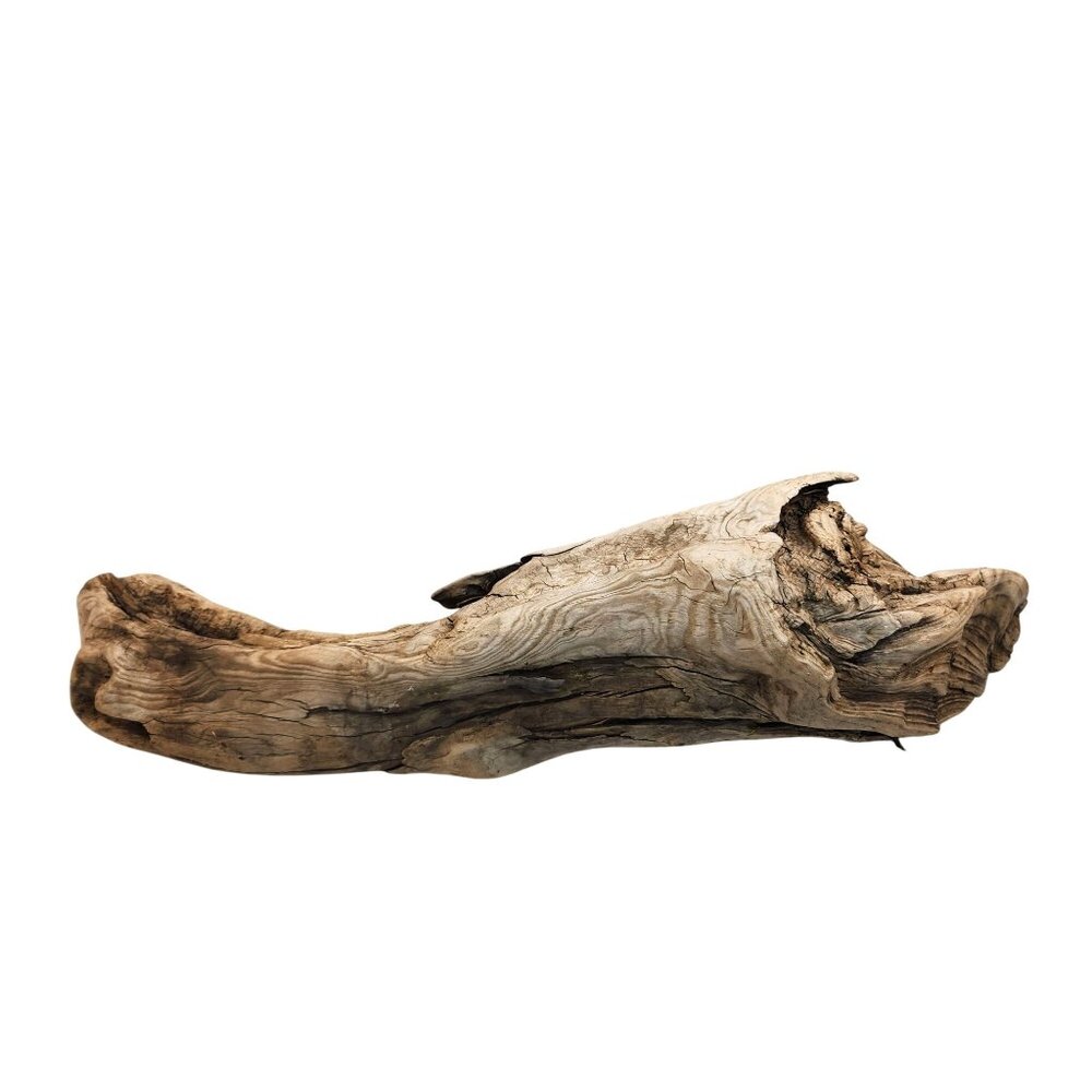 Natural Driftwood Decor Piece For Crafting Aquariums Reptile Tanks Or Rustic Dis - Picture 14 of 14